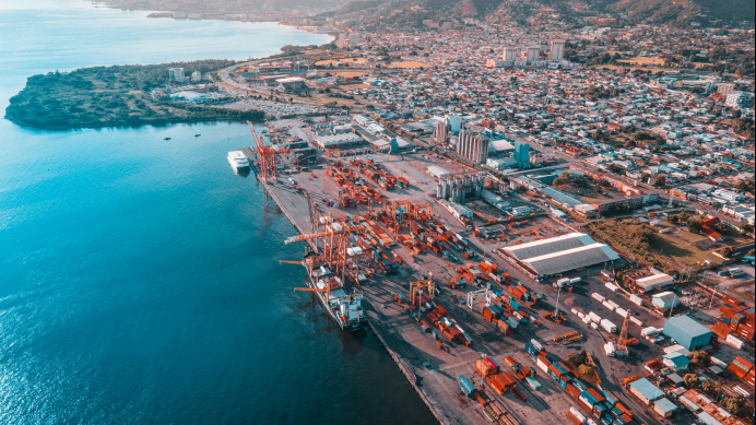 Research studies or articles on the impact of customs reform on international trade